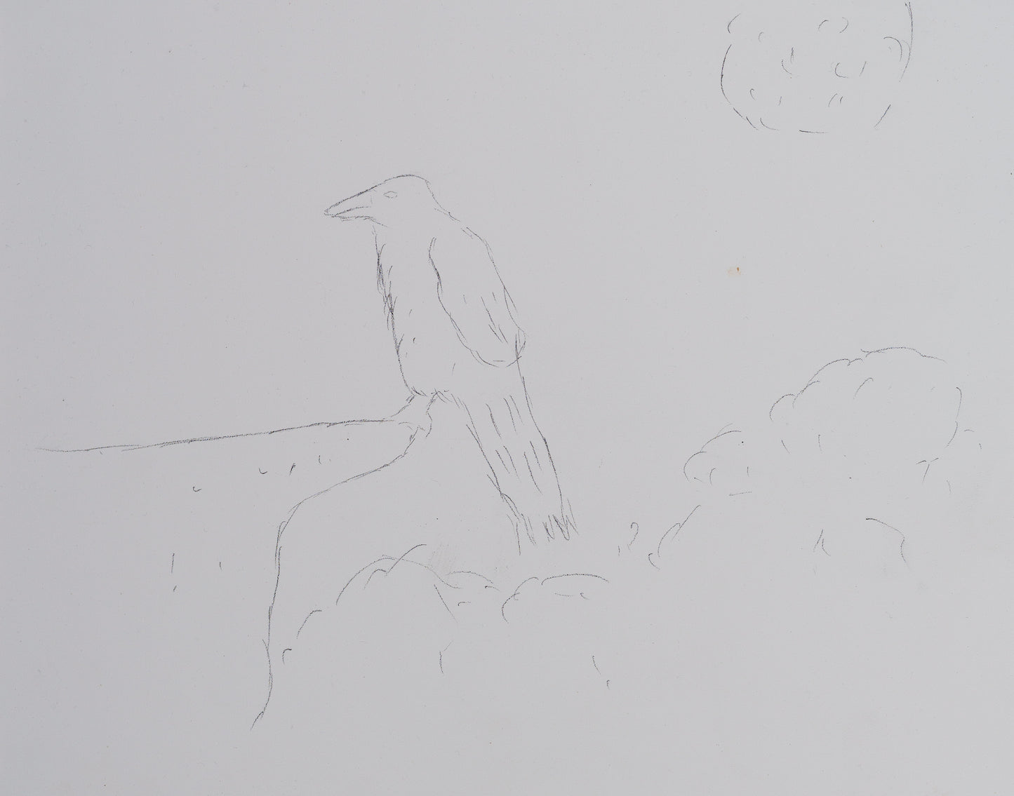 Sanderson Sketches to Professional Paintings - Esther Candari & Brandon Sanderson