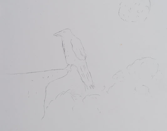 Sanderson Sketches to Professional Paintings - Esther Candari & Brandon Sanderson